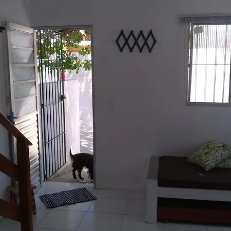 Casa Da Arvore-2
