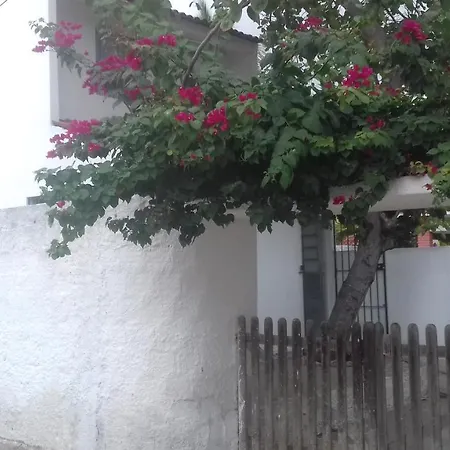 Casa Da Arvore-3